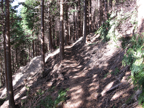 20161216hike (94)